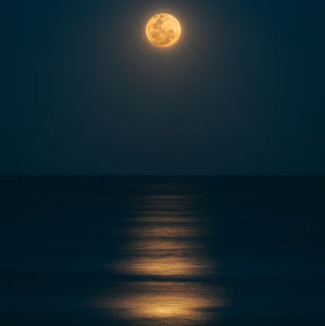 Meet your Posher, Genesis